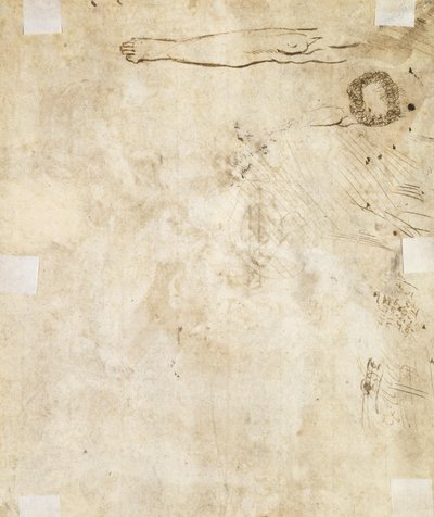 Studium nogi, zawijasów i bazgrołów, 1610-17 autorstwa Jacques Bellange