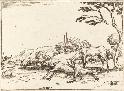 Czy opłakuje swojego źrebaka autorstwa Jacques Callot