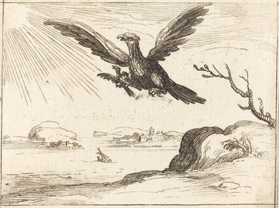 Orzeł i młody autorstwa Jacques Callot