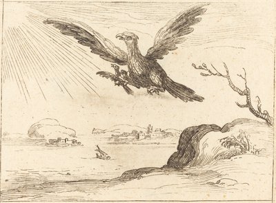 Orzeł i młody autorstwa Jacques Callot