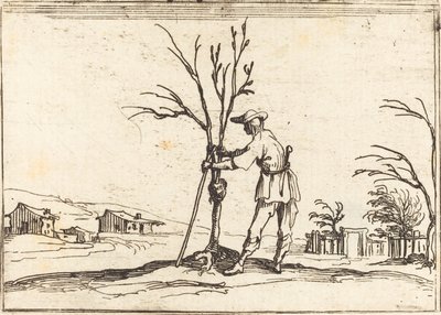 Ogrodnik przycinający drzewo autorstwa Jacques Callot