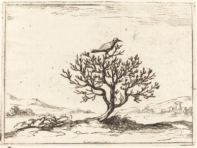Słowik w krzaku autorstwa Jacques Callot