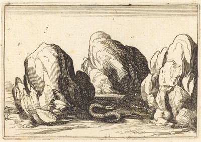 Wąż autorstwa Jacques Callot