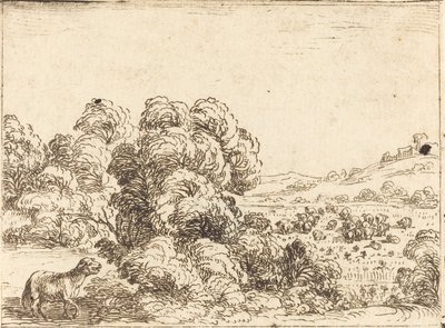 Owca wołająca owieczkę autorstwa Jacques Callot