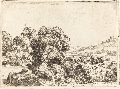 Owca wołająca owieczkę autorstwa Jacques Callot