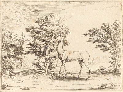 Łania autorstwa Jacques Callot