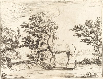 Łania autorstwa Jacques Callot