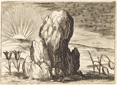 Tulipany i Słońce autorstwa Jacques Callot