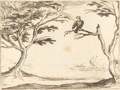 Sęp autorstwa Jacques Callot