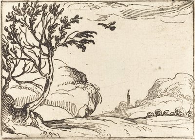 Turtle Dove latający na pustyni. autorstwa Jacques Callot