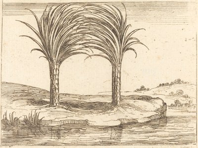 Dwie palmy. autorstwa Jacques Callot