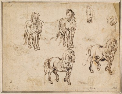 Badania Koni [recto] autorstwa Jacques Callot after Antonio Tempesta