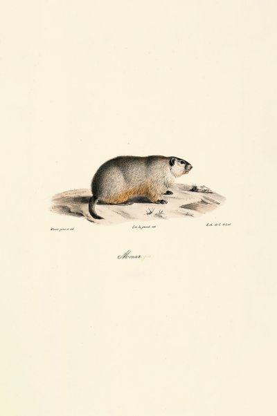  autorstwa Jacques Christophe Werner