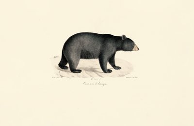  autorstwa Jacques Christophe Werner