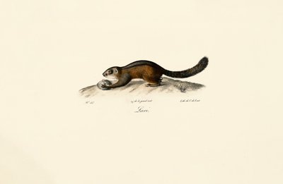  autorstwa Jacques Christophe Werner