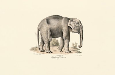  autorstwa Jacques Christophe Werner