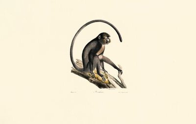  autorstwa Jacques Christophe Werner
