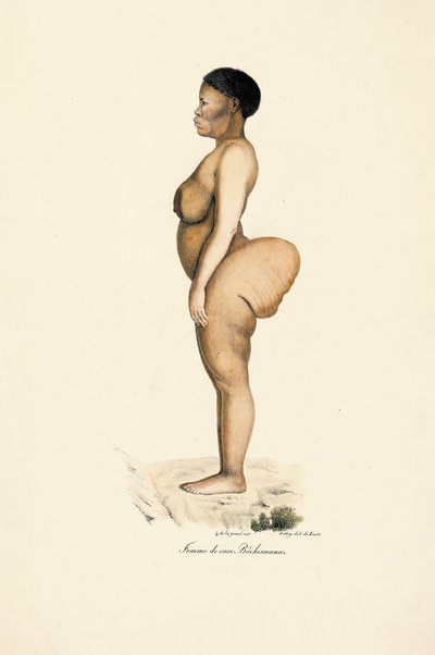 Boschman Race Woman in Profile autorstwa Jacques Christophe Werner