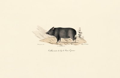  autorstwa Jacques Christophe Werner