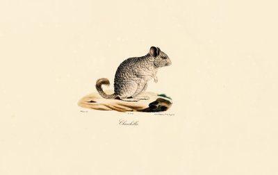  autorstwa Jacques Christophe Werner