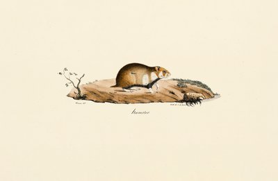 autorstwa Jacques Christophe Werner