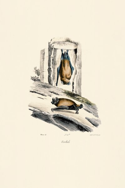  autorstwa Jacques Christophe Werner