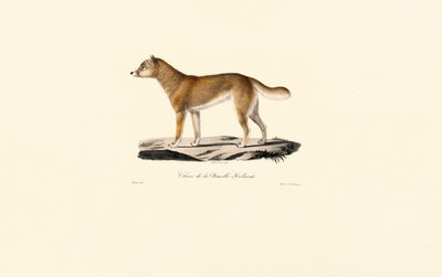  autorstwa Jacques Christophe Werner