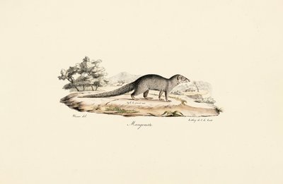  autorstwa Jacques Christophe Werner