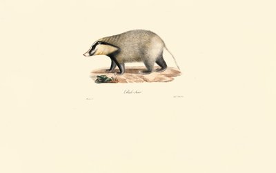  autorstwa Jacques Christophe Werner