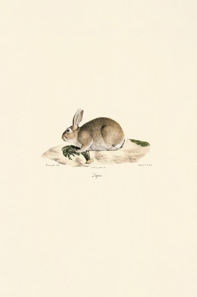  autorstwa Jacques Christophe Werner