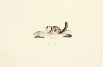  autorstwa Jacques Christophe Werner