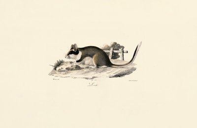  autorstwa Jacques Christophe Werner