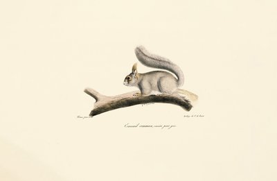  autorstwa Jacques Christophe Werner