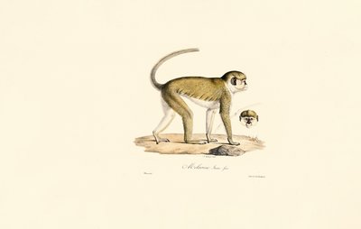  autorstwa Jacques Christophe Werner