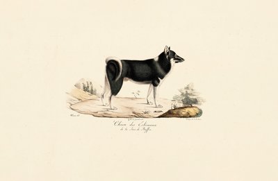 autorstwa Jacques Christophe Werner