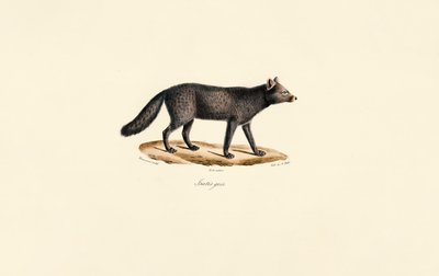  autorstwa Jacques Christophe Werner