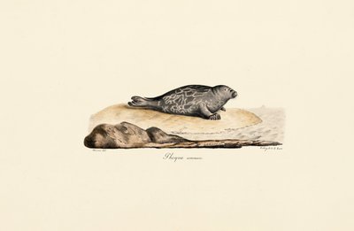  autorstwa Jacques Christophe Werner