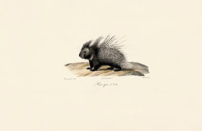  autorstwa Jacques Christophe Werner