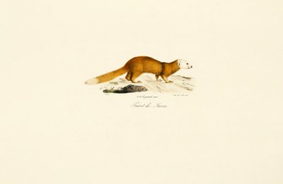  autorstwa Jacques Christophe Werner