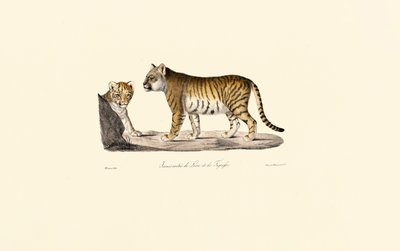  autorstwa Jacques Christophe Werner