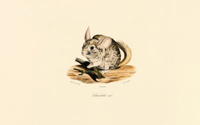  autorstwa Jacques Christophe Werner