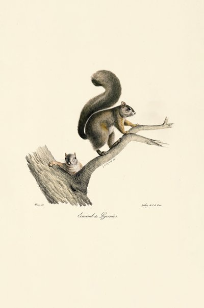  autorstwa Jacques Christophe Werner
