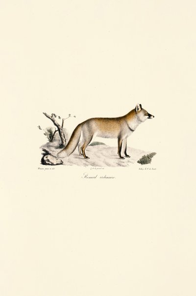  autorstwa Jacques Christophe Werner