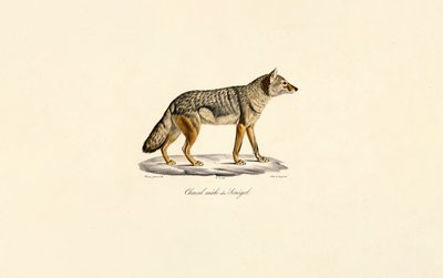  autorstwa Jacques Christophe Werner