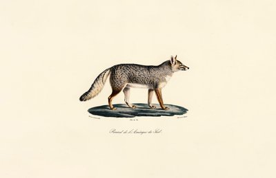  autorstwa Jacques Christophe Werner