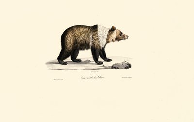  autorstwa Jacques Christophe Werner
