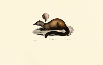  autorstwa Jacques Christophe Werner