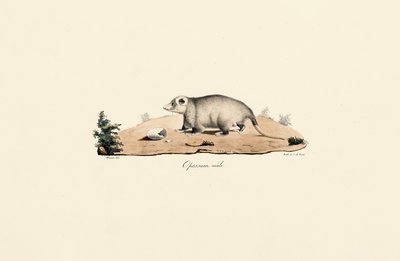  autorstwa Jacques Christophe Werner