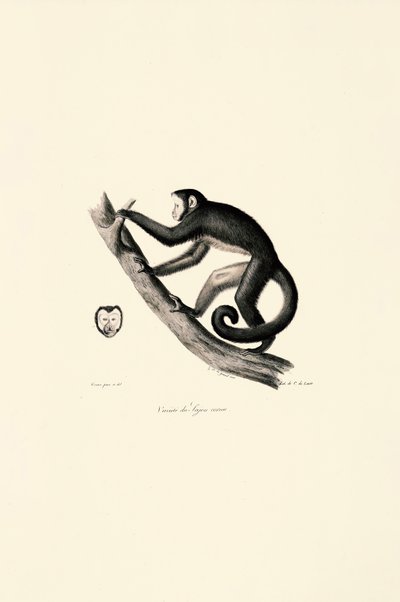  autorstwa Jacques Christophe Werner