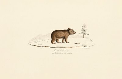  autorstwa Jacques Christophe Werner